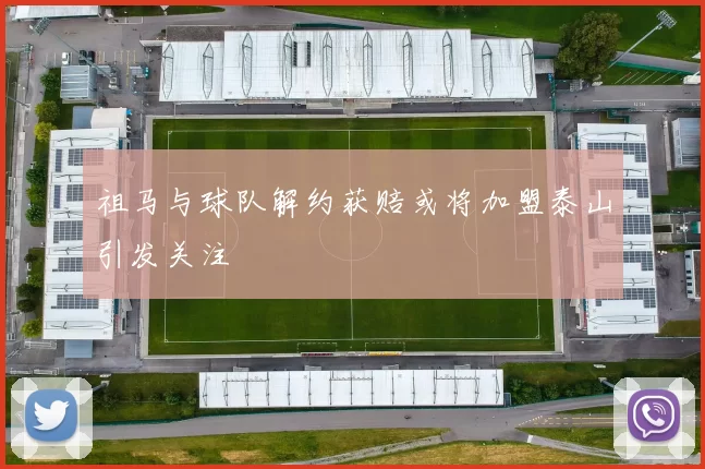 祖马与球队解约获赔或将加盟泰山引发关注