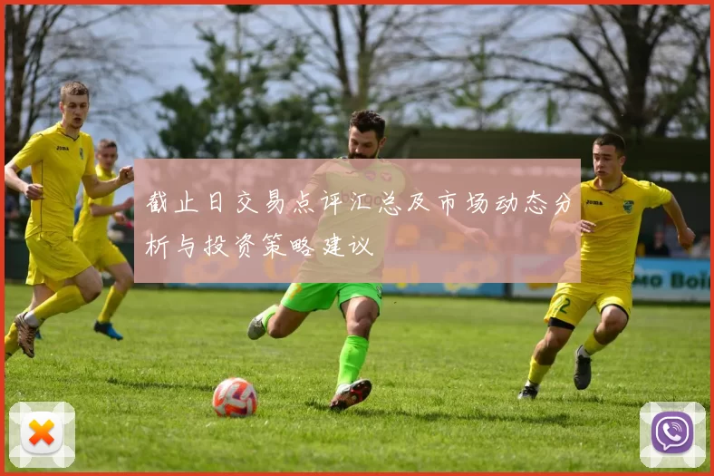 截止日交易点评汇总及市场动态分析与投资策略建议